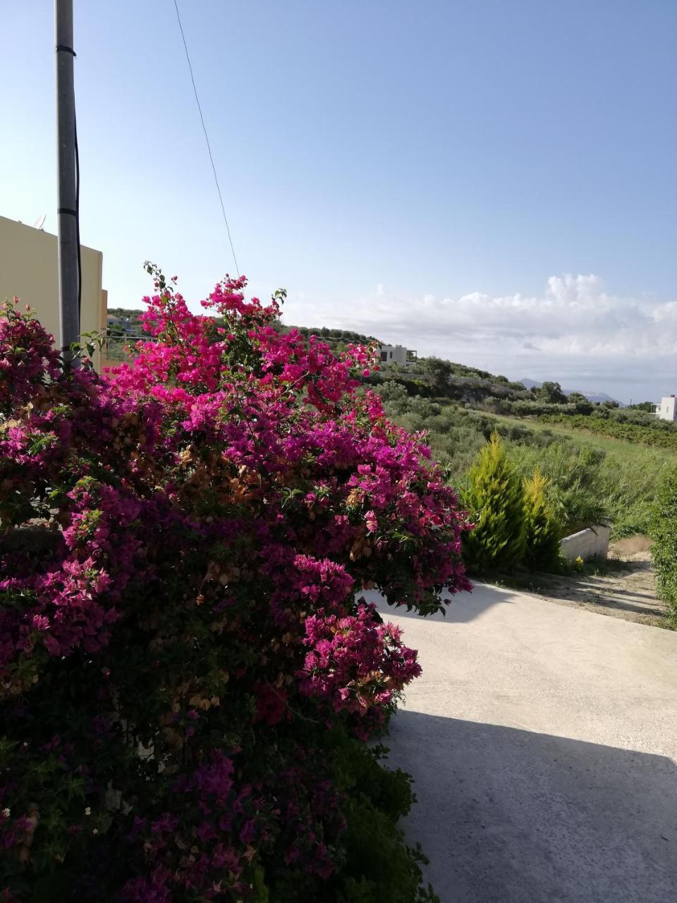 Cyan Icons Villas Kalyves Chania Екстериор снимка